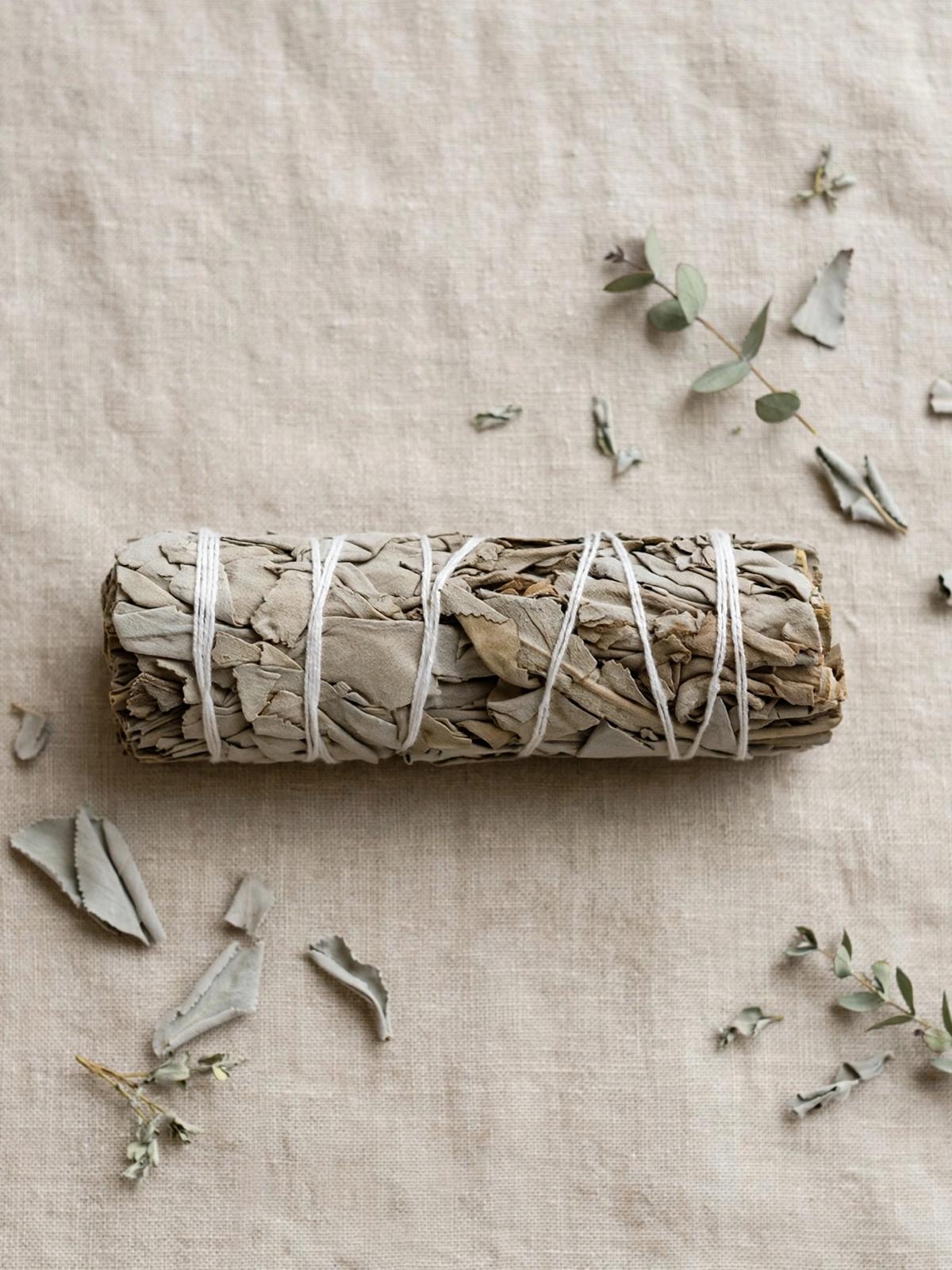 SALVIA BLANCA
